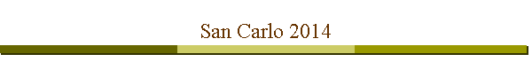 San Carlo 2014