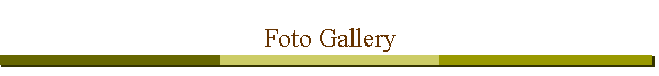 Foto Gallery