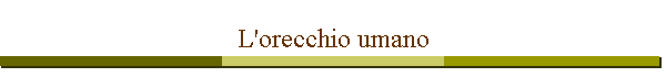 L'orecchio umano