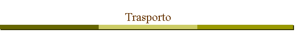 Trasporto